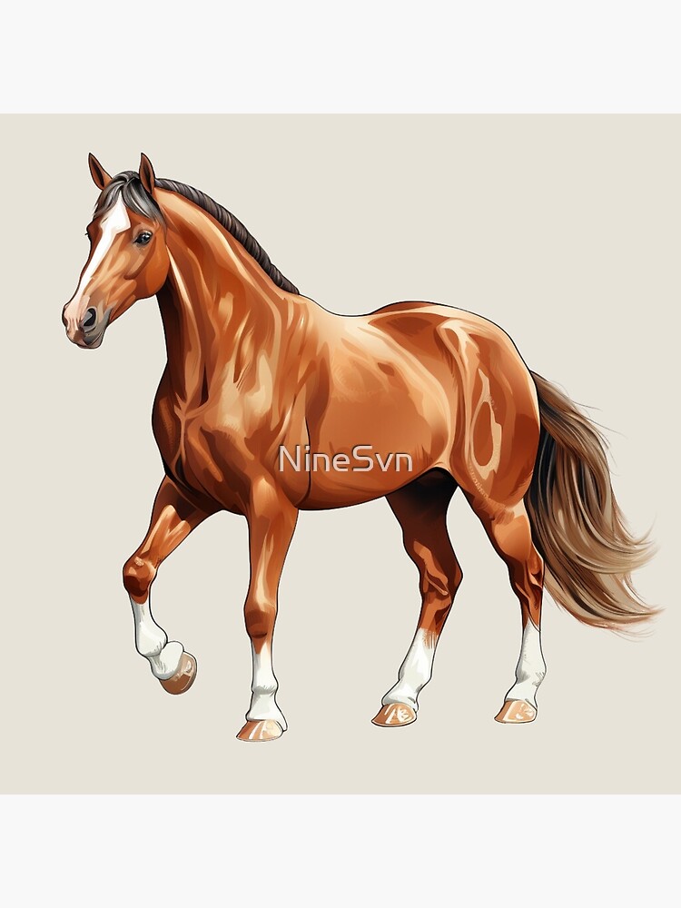 dutch warmblood colors