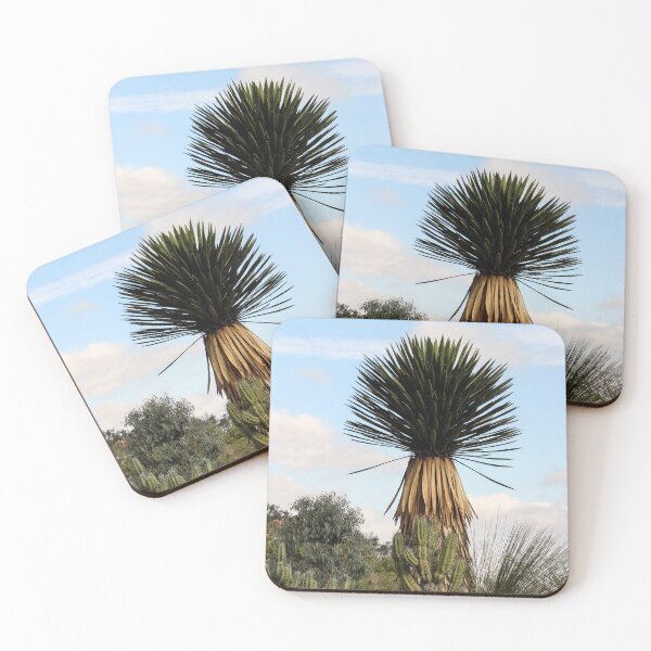 Item preview, Balboa Cactus Garden in San Diego, California designed and sold by heatherfriedman.