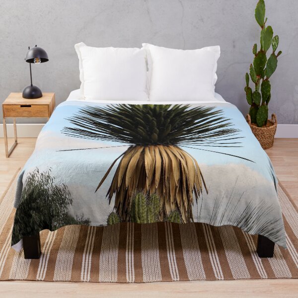 Item preview, Balboa Cactus Garden in San Diego, California designed and sold by heatherfriedman.