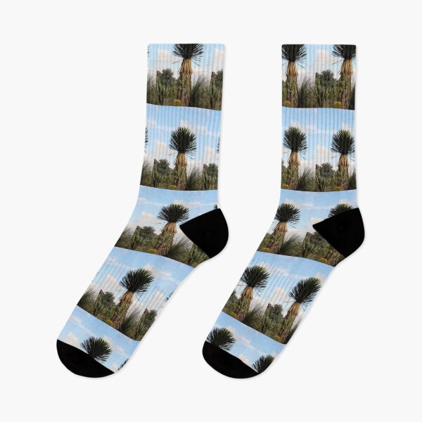 Item preview, Balboa Cactus Garden in San Diego, California designed and sold by heatherfriedman.