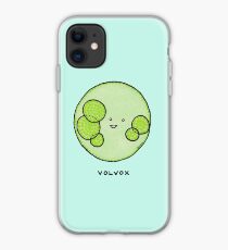 Algae: volvox! iPhone Case