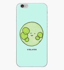 Algae: volvox! iPhone Case