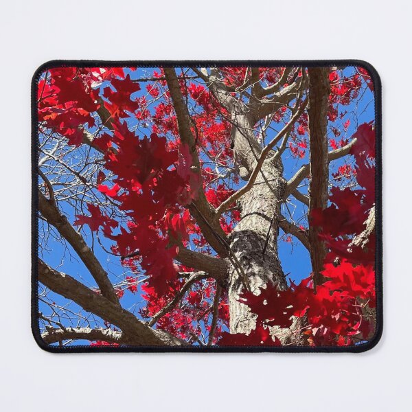 Item preview, Red leaves  designed and sold by Noreen Motamed.