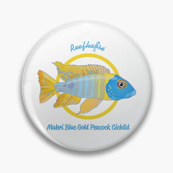 Item preview, Maleri Blue Gold Peacock Cichlid designed and sold by KaplanCrypto.