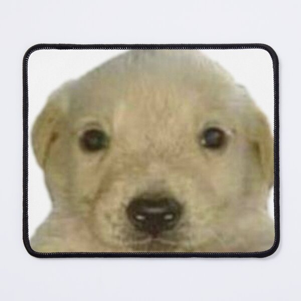 Item preview, dog meme designed and sold by TheSoundOfRain1.