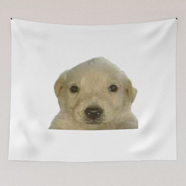 Item preview, dog meme designed and sold by TheSoundOfRain1.