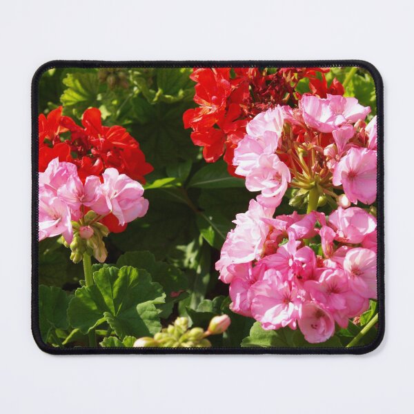 Item preview, Bright geranium flowers designed and sold by B. Randi Bailey.