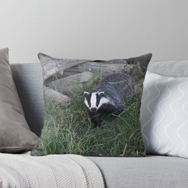 Item preview, Badger leaving its sett designed and sold by GrahamCSmith.
