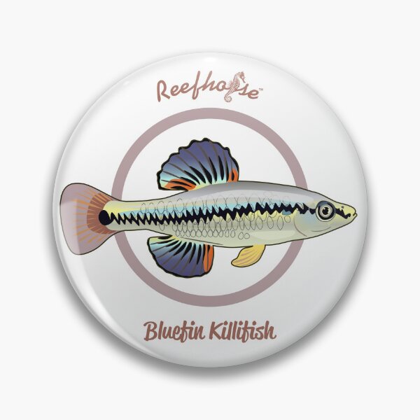 Item preview, Bluefin Killifish designed and sold by KaplanCrypto.