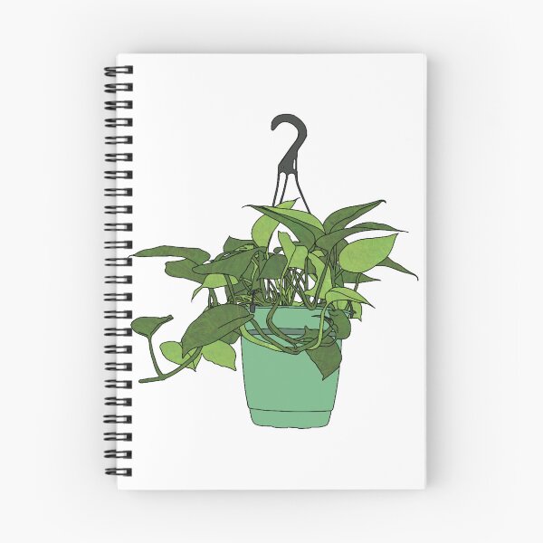 Item preview, Hanging pothos plant designed and sold by Femmephilosophy.