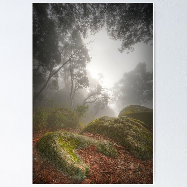 Item preview, Misty morning, Mt. Buffalo designed and sold by Kevin McGennan.