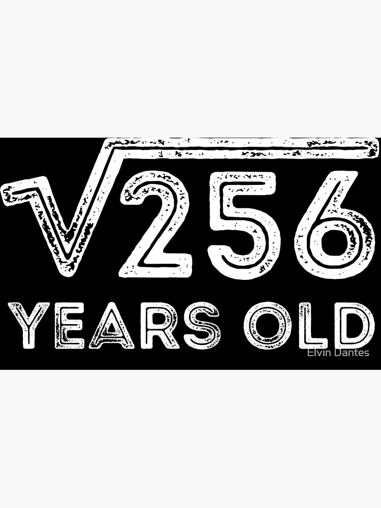 square-root-of-256-years-old-16th-birthday-framed-art-print-for