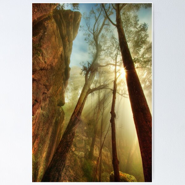 Item preview, Clearing mist, Mount Buffalo designed and sold by Kevin McGennan.