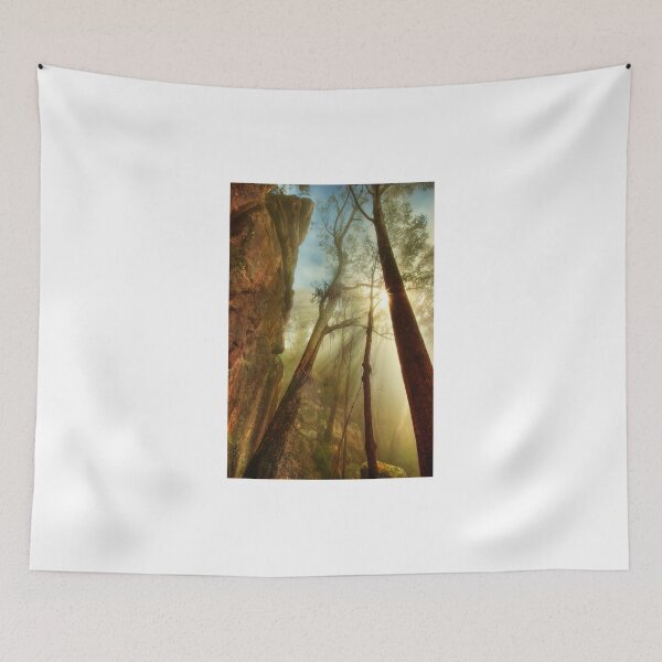 Item preview, Clearing mist, Mount Buffalo designed and sold by Kevin McGennan.
