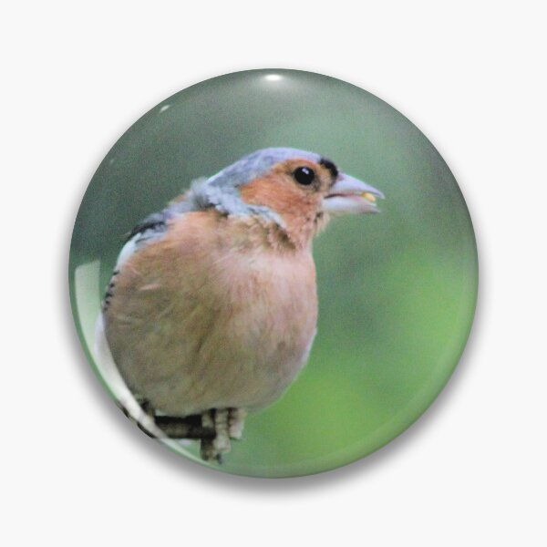 Item preview, chaffinch designed and sold by KathleenDawson.