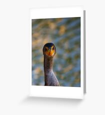 You think this is my best side....? Greeting Card