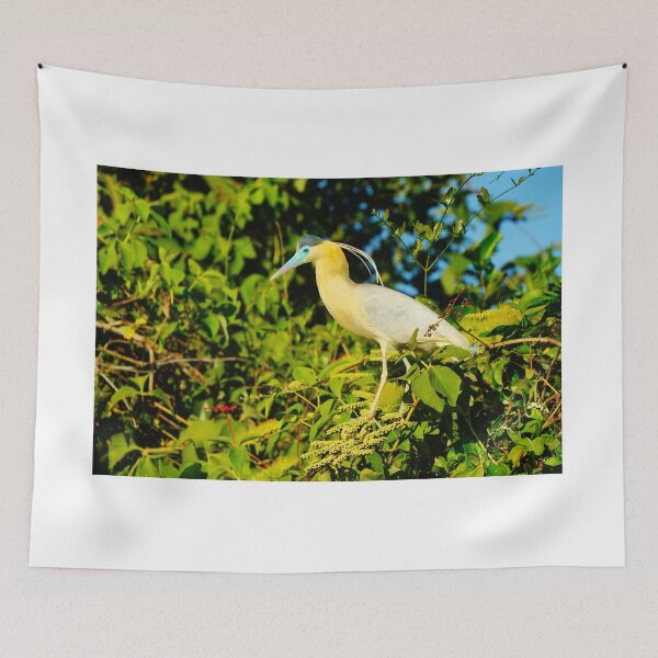 Item preview, Capped Egret designed and sold by Geoffrey Higges.
