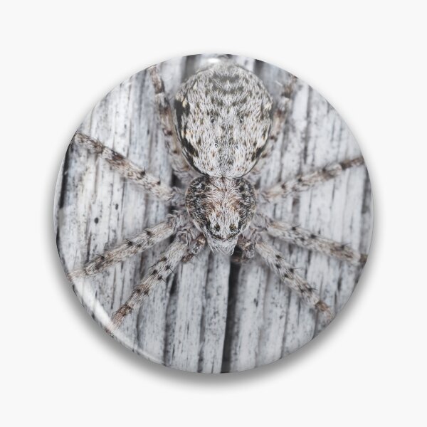Item preview, Philodromidae - running crab spider designed and sold by SDym Photography.