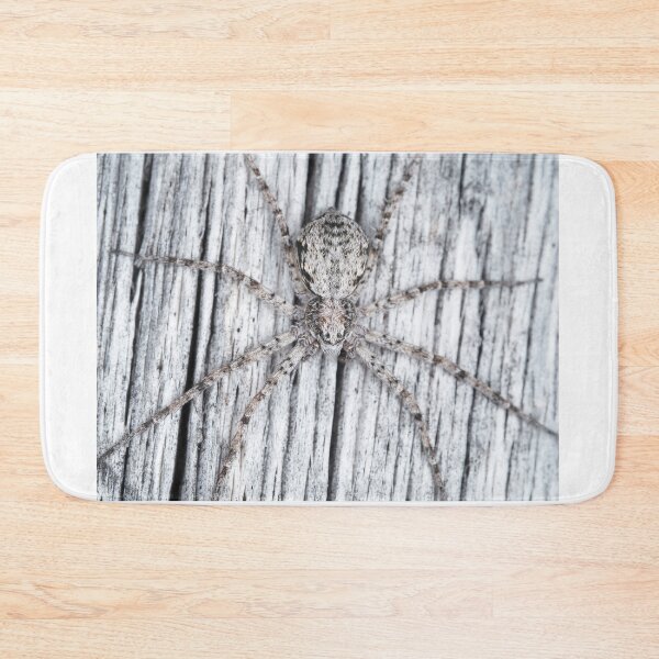 Item preview, Philodromidae - running crab spider designed and sold by SDym Photography.