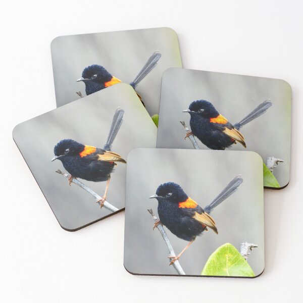 Item preview, Red Backed Fairy Wren looking proud  designed and sold by Mark Grimsley.