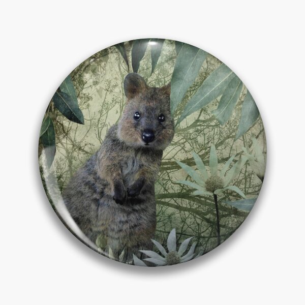 Item preview, Australian Quokka designed and sold by Lesley Fitzpatrick.