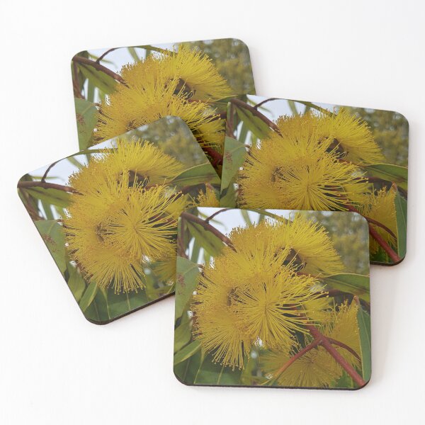 Item preview, Yellow Gum Blossom Flowers designed and sold by Honey Myrtle Studio.