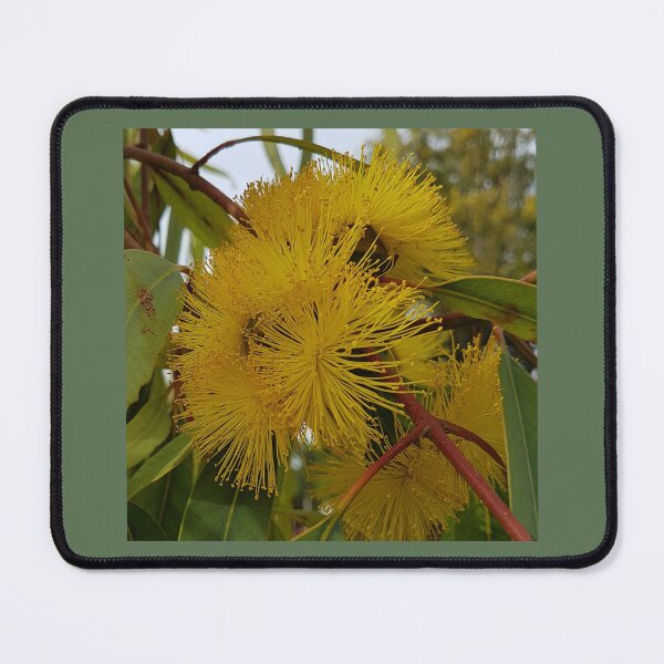 Item preview, Yellow Gum Blossom Flowers designed and sold by Honey Myrtle Studio.
