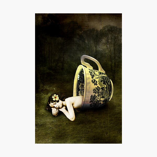The teacup Photographic Print