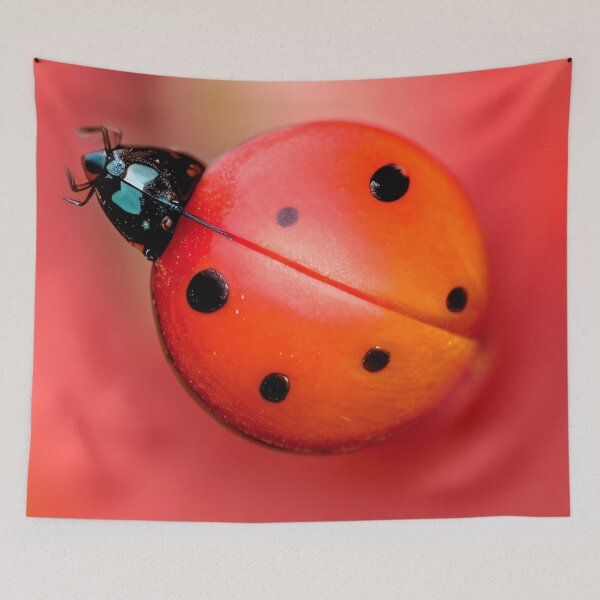 Item preview, Copy of Bonking ladybirds designed and sold by Glenbobagins.