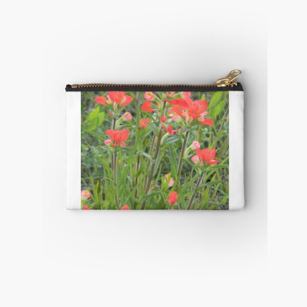 Item preview, An Eyeful of Indian Paintbrush designed and sold by Navigator.