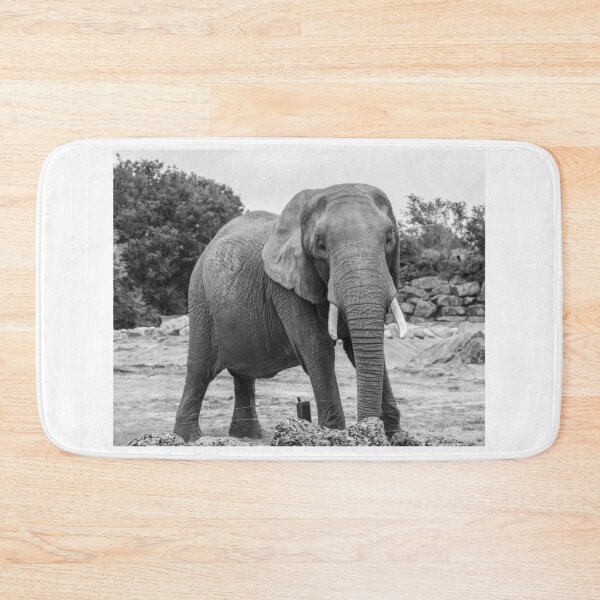 Item preview, African Elephant designed and sold by yackers1.