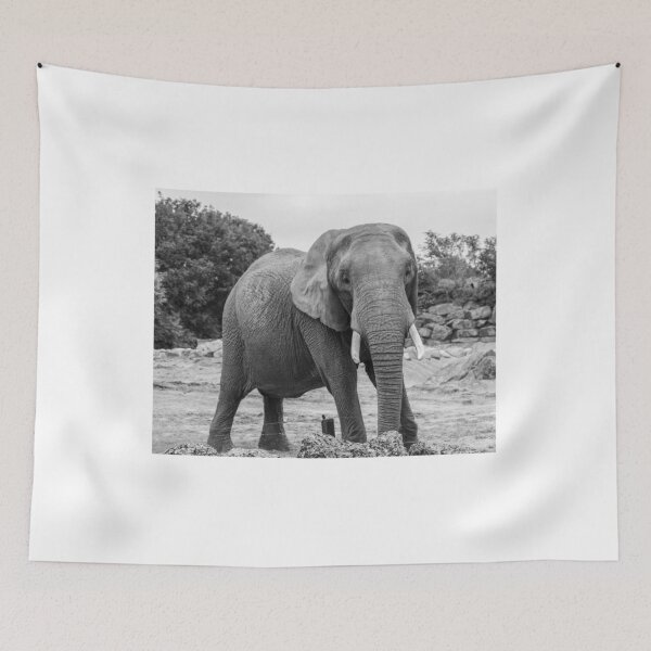 Item preview, African Elephant designed and sold by yackers1.