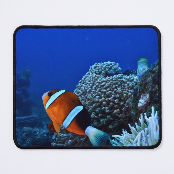 Item preview, Clownfish  designed and sold by oceandesignsfx.
