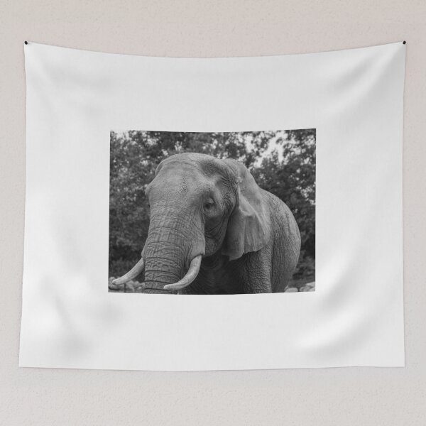 Item preview, African Elephant designed and sold by yackers1.