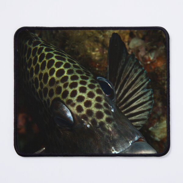 Item preview, Hello There  designed and sold by oceandesignsfx.