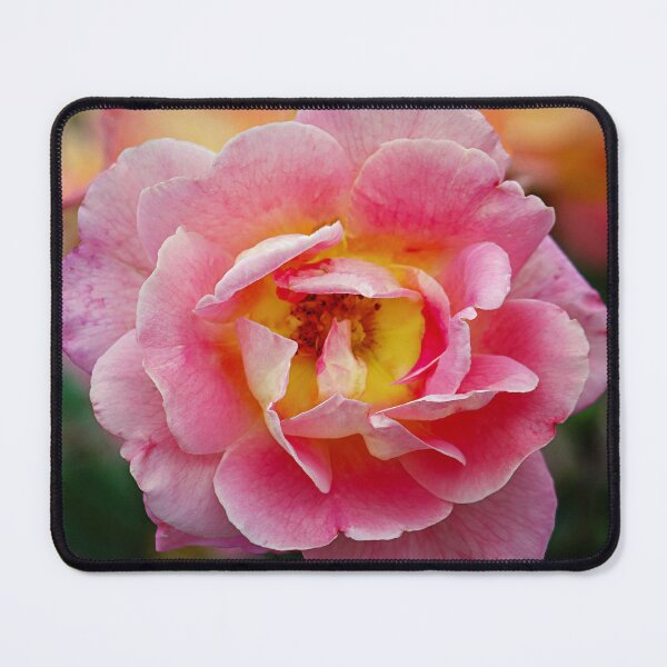 Item preview, Rose at Summers End designed and sold by bertsworks300.