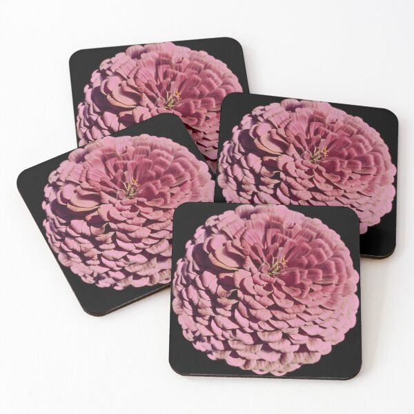 Item preview, Field Guide to Zinnias, No. 29, Dusty Mauve, Pink Zinnia Flower designed and sold by Kristi Duggins.