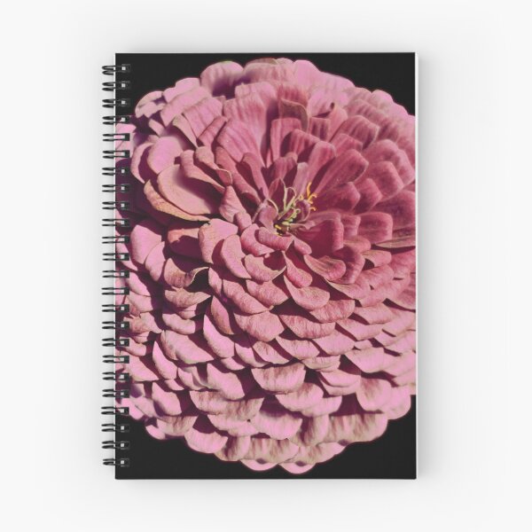 Item preview, Field Guide to Zinnias, No. 29, Dusty Mauve, Pink Zinnia Flower designed and sold by Kristi Duggins.