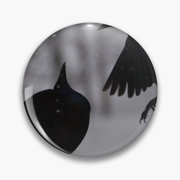 Item preview, Common grackles at the garden feeder designed and sold by Claude Laprise.