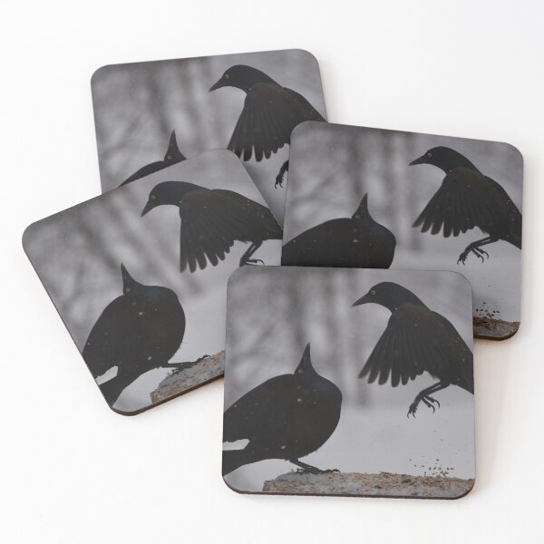 Item preview, Common grackles at the garden feeder designed and sold by Claude Laprise.