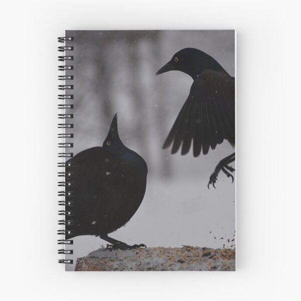 Item preview, Common grackles at the garden feeder designed and sold by Claude Laprise.