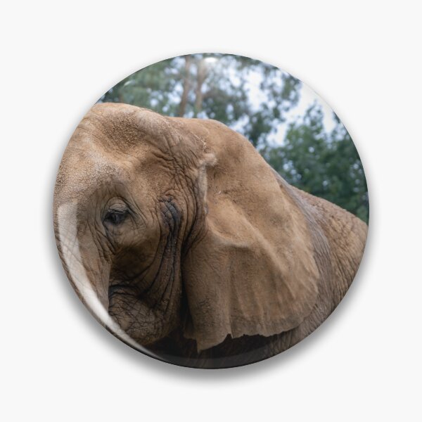 Item preview, Portrait of African elephant designed and sold by yackers1.