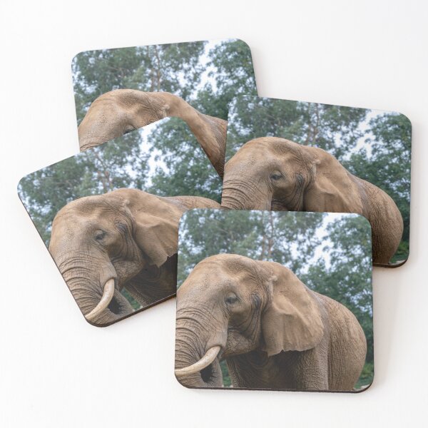 Item preview, Portrait of African elephant designed and sold by yackers1.
