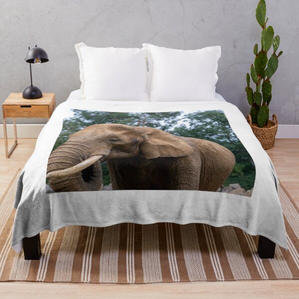 Item preview, Portrait of African elephant designed and sold by yackers1.