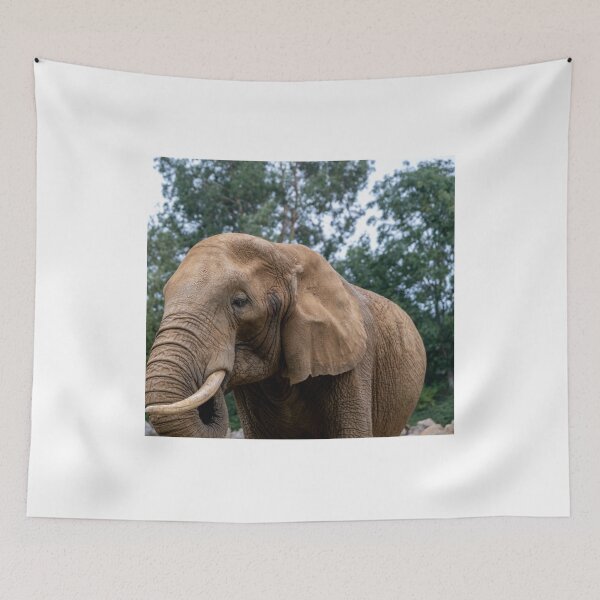 Item preview, Portrait of African elephant designed and sold by yackers1.