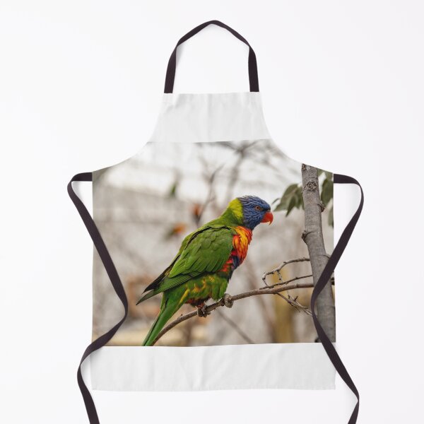 Item preview, loro arcoiris designed and sold by yackers1.