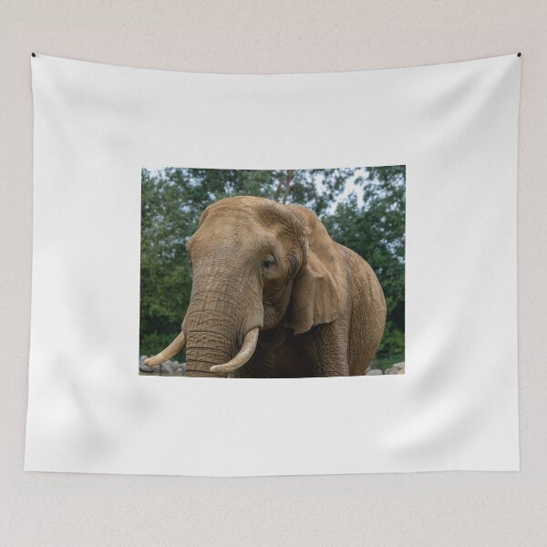 Item preview, African elephant designed and sold by yackers1.