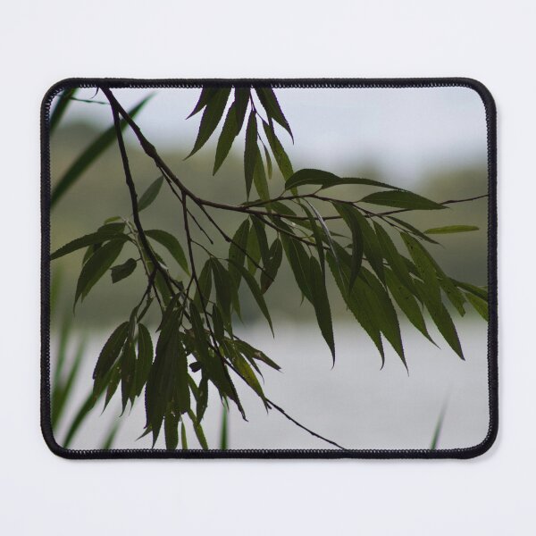 Item preview, Green Tree designed and sold by Anthony Hiorns.