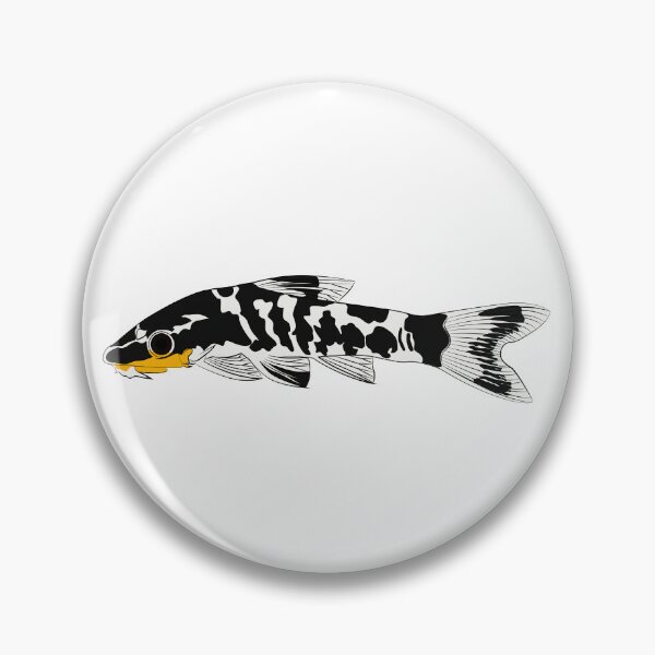 Item preview, zebra oto, tiger oto tropical freshwater catfish. Otocinclus cocama freshwater ornamental fish graphic illustrations aquarium catfish designed and sold by Marcin Adrian.