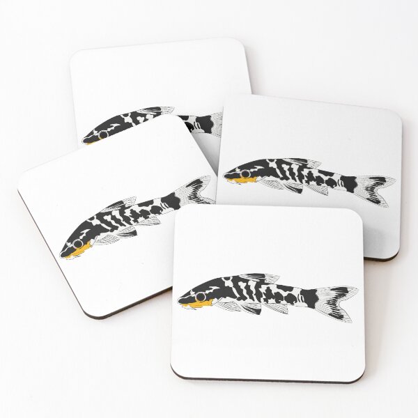 Item preview, zebra oto, tiger oto tropical freshwater catfish. Otocinclus cocama freshwater ornamental fish graphic illustrations aquarium catfish designed and sold by Marcin Adrian.